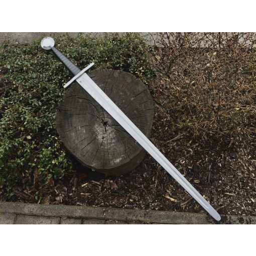 "Disc" -  Buhurt Duell Einhandschwert