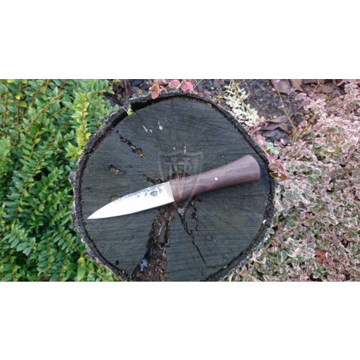 Egyenes középkori kés